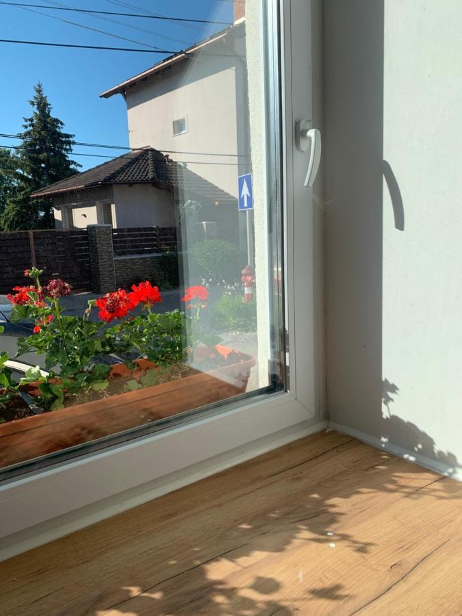 Loft Pihenő és Wellness Ház Balatonfüred Exterior foto
